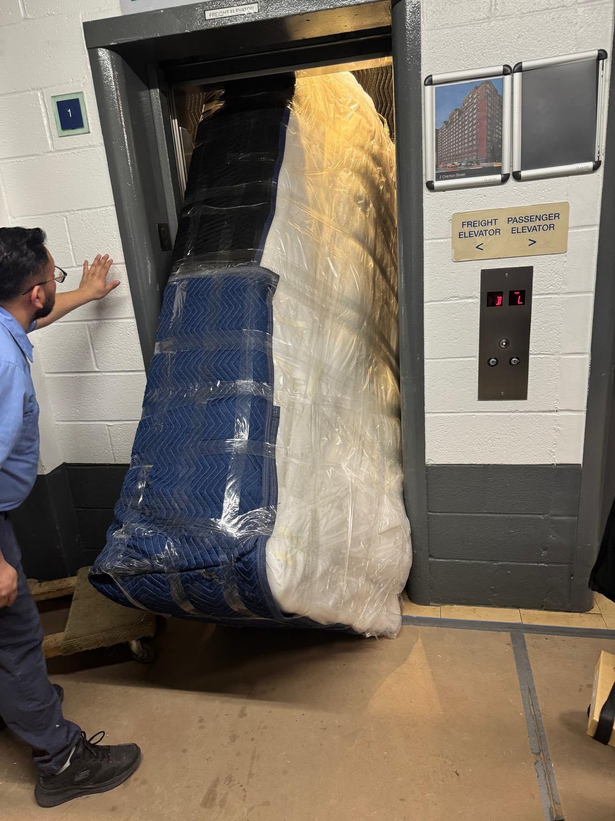 Furniture Moving Assistance